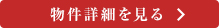 詳細を見る
